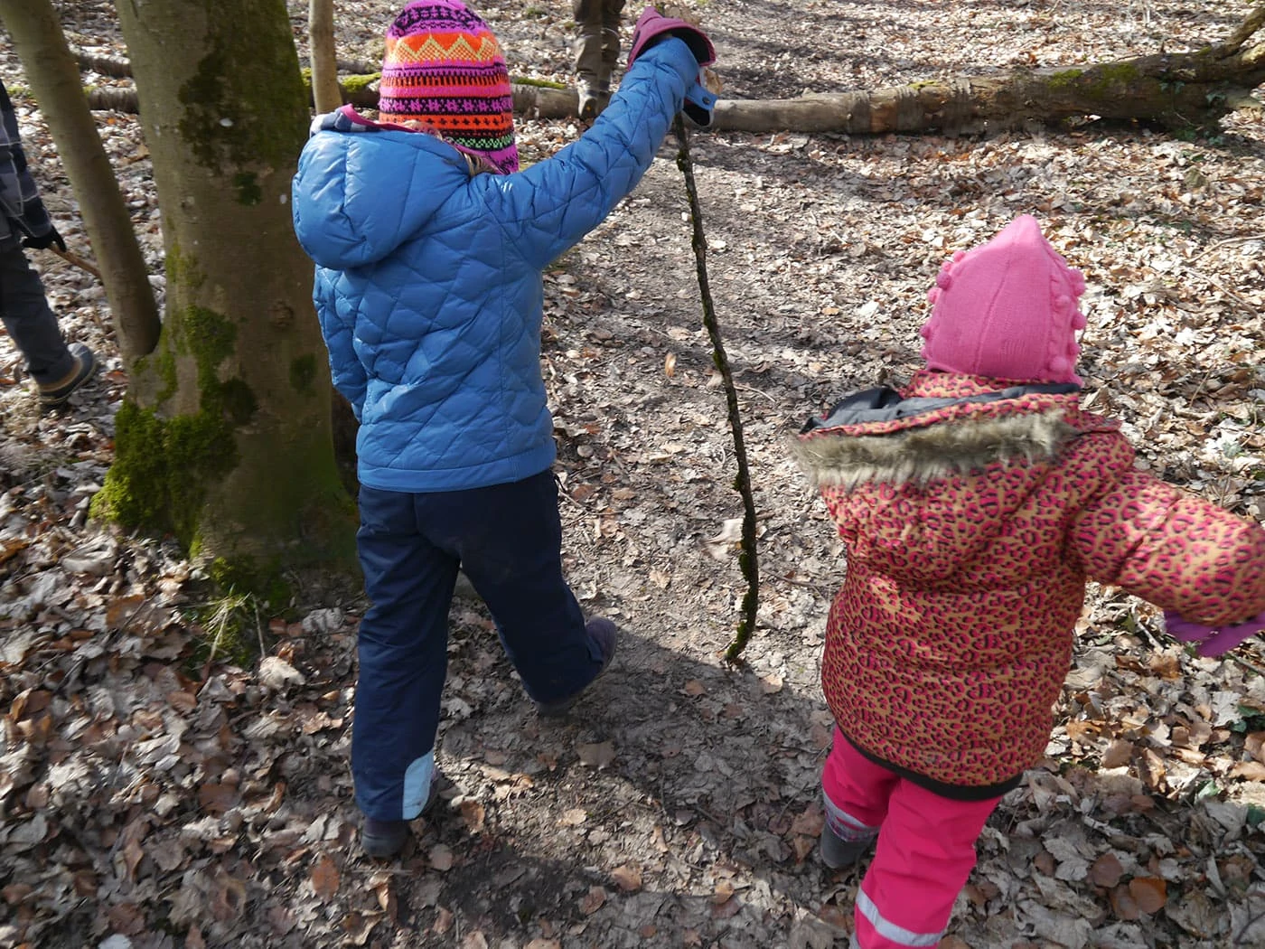 Themenspaziergänge Kinder Wald // HIMBEER