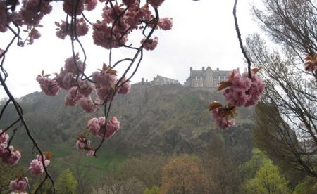 Schottland3 4015511