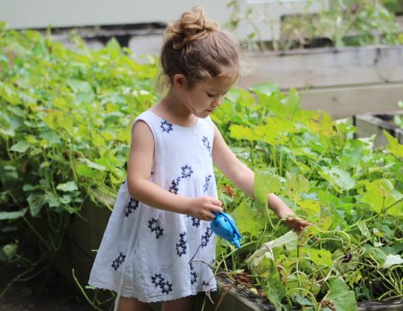 Buchtipps: Balkon und Garten – Tipps zum Gärtnern und Selbstversorger // HIMBEER