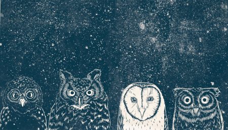 Kinderbuch-Tipp: Vom Leben der Tiere- Von Pablo Salvaje, Prestel junior | BERLIN MIT KIND