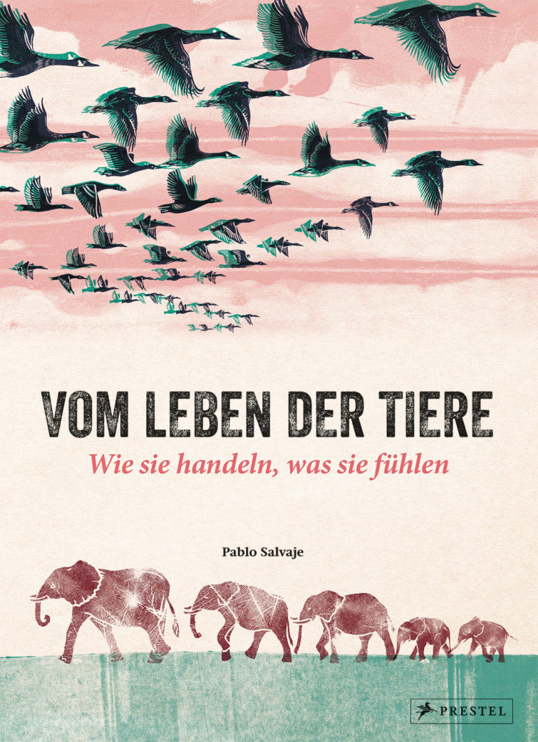 Kinderbuch-Tipp: Vom Leben der Tiere von Pablo Salvaje | BERLIN MIT KIND