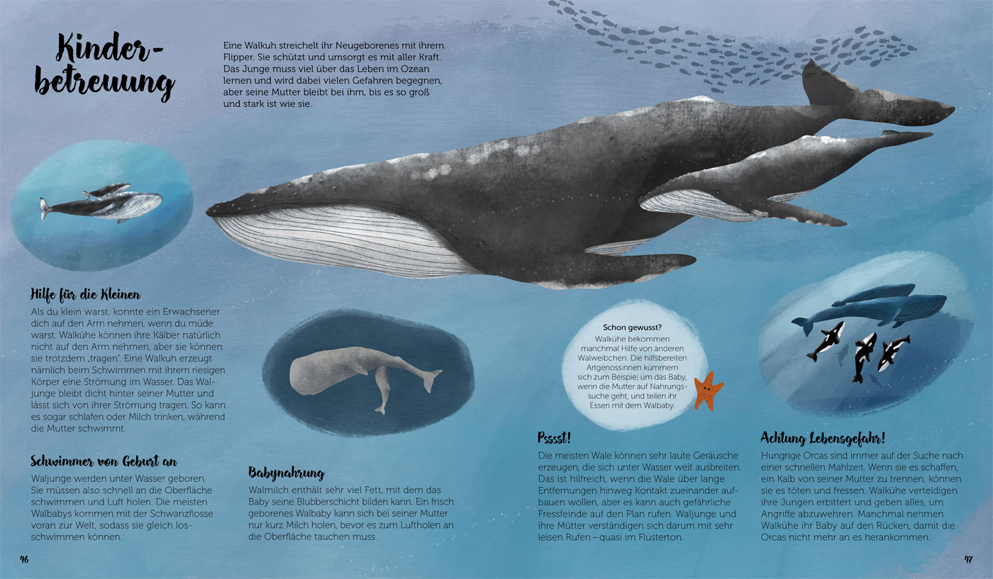 Andere Welt erlesen: Kinderbuch-Tipp: Die Welt der Wale. Kindersachbuch // HIMBEER