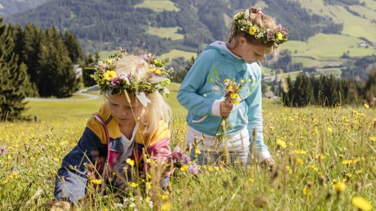 SommerAlmFerien auf 1.750 Metern für Kinder Sommer 2020