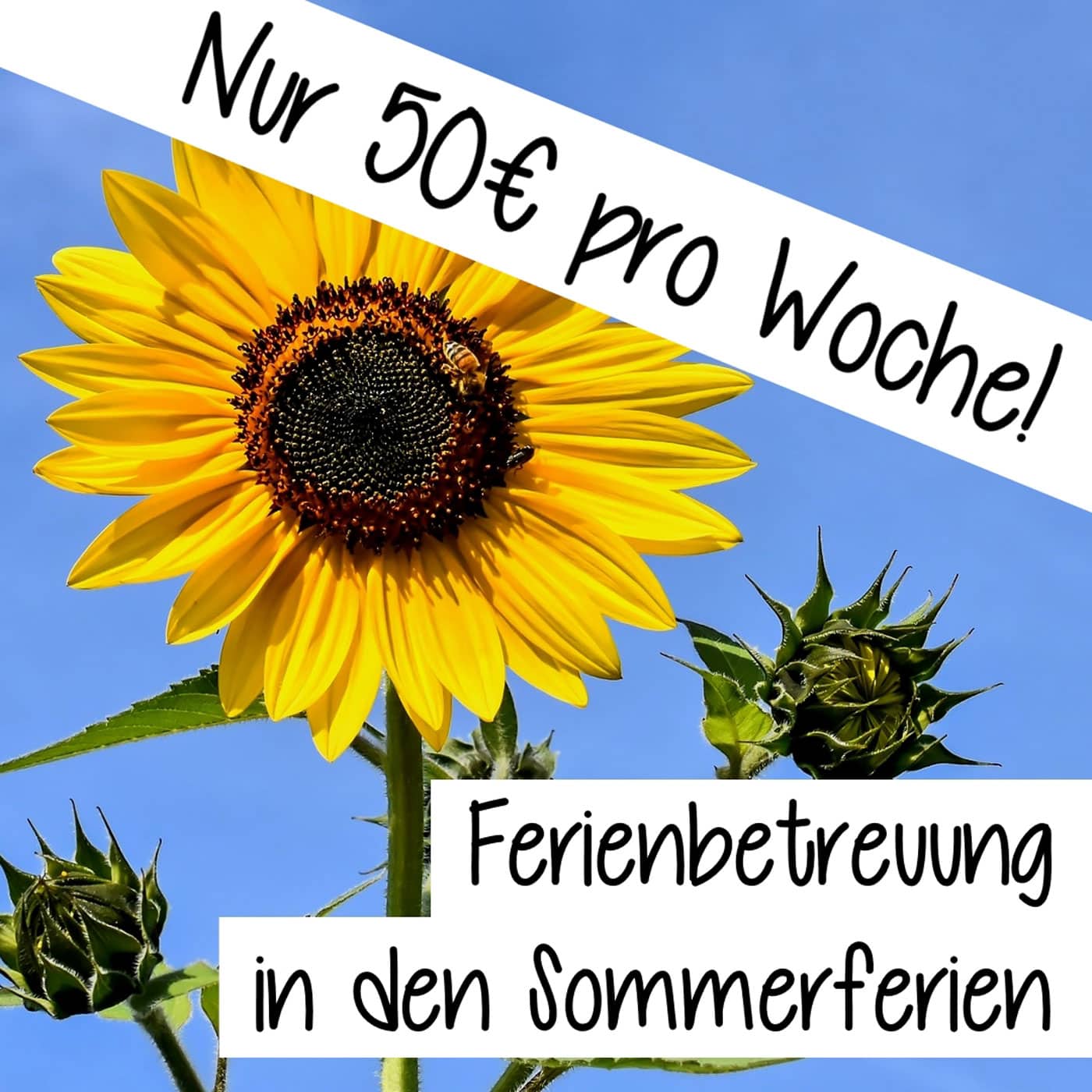 Sommerferienprogramm für Münchner Kinder von Linos Freunde // HIMBEER