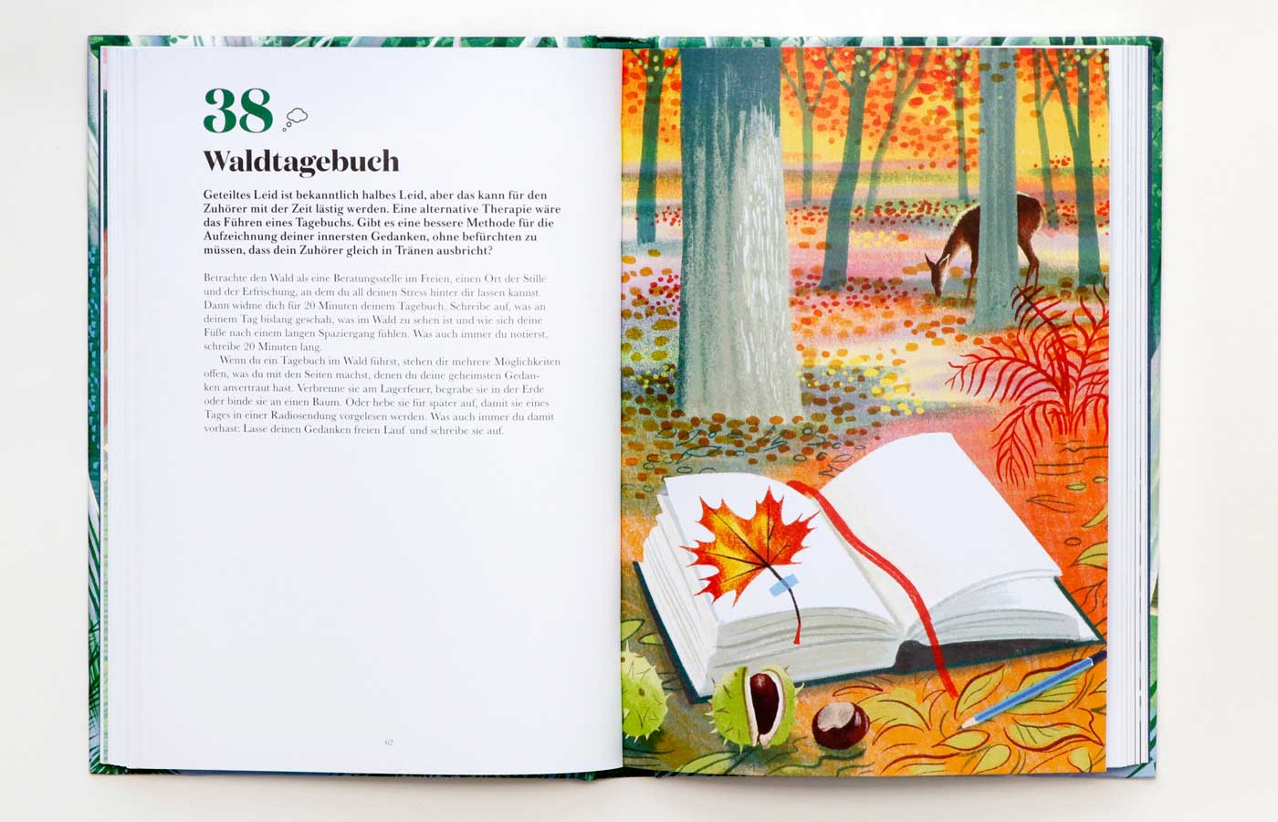 Kinderbuch: 100 Dinge, die du im Wald tun kannst // HIMBEER