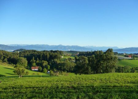 Urlaub auf dem Land mit Kindern: Landhotel Martinsmühle am Bodensee – Umgebung // HIMBEER