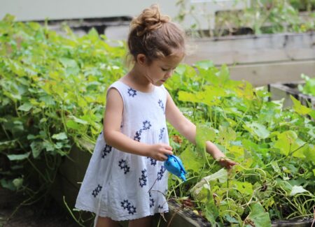 Buchtipps: Balkon und Garten – Tipps zum Gärtnern und Selbstversorger // HIMBEER