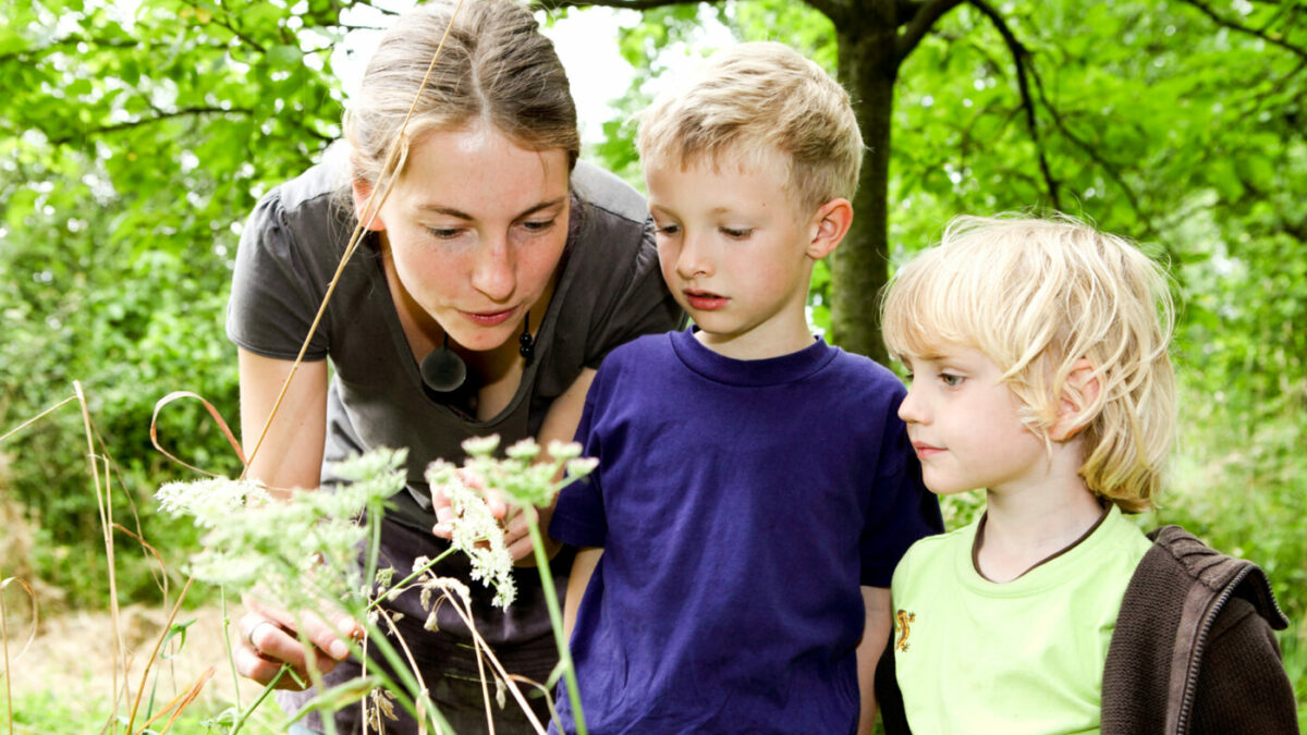 NAJU-Tipps: Balkon mit Kindern bepflanzen und kleine Natur-Experimente machen // HIMBEER