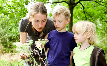 NAJU-Tipps: Balkon mit Kindern bepflanzen und kleine Natur-Experimente machen // HIMBEER