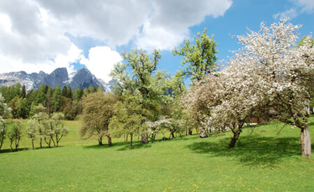 Landschaft rund um Gut Wenghof // HIMBEER