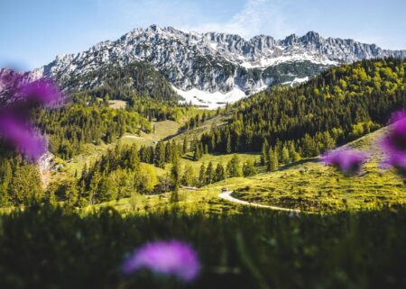 Frühling am Wilden Kaiser – Familienurlaub in Österreich // HIMBEER