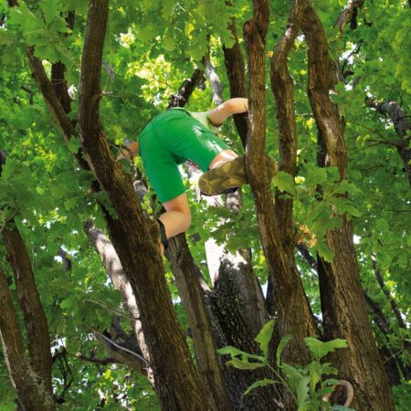 Kinder engagieren sich für Klimaschutz: Edna // HIMBEER