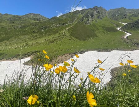 Bergurlaub in Südtirol: Family Resort & Spa Hotel Schneeberg // HIMBEER