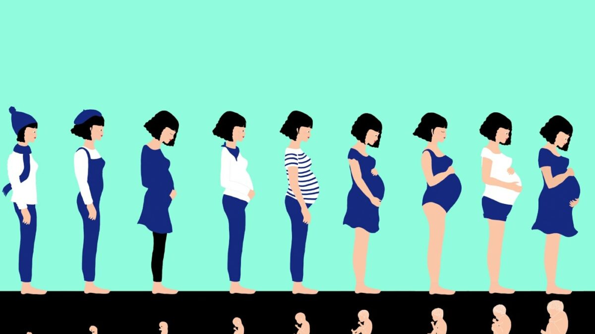 Kindersachbuch über Schwangerschaft: Ein neues Leben entsteht // HIMBEER