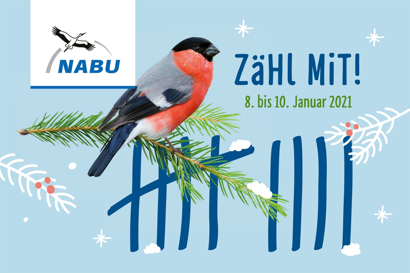NABU Stunde der Wintervögel 2021 – Mitmachaktion // HIMBEER