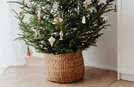 Christbaum zum Mieten in München // HIMBEER