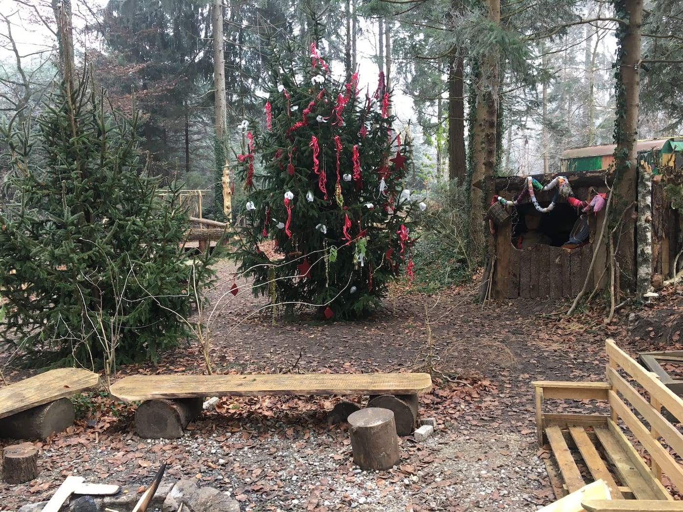 Erlebt das ruhige Event Waldweihnachten in der Erlebnisbaumschule // HIMBEER