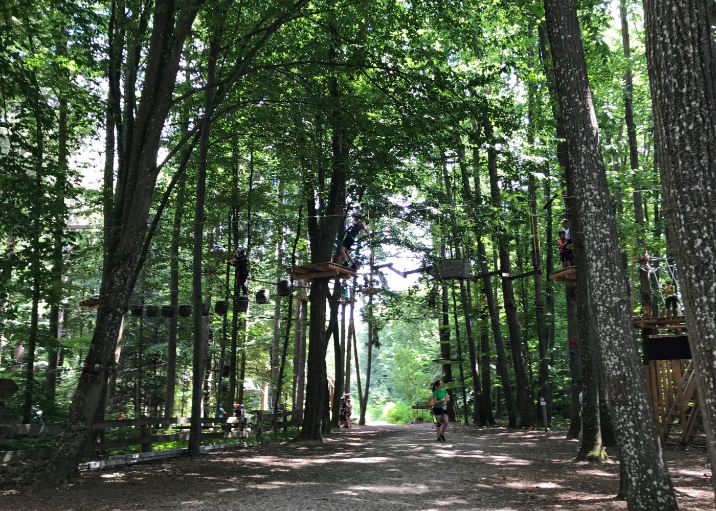 In der Natur mit Kindern klettern gehen: Waldkletterpark Oberbayern // HIMBEER