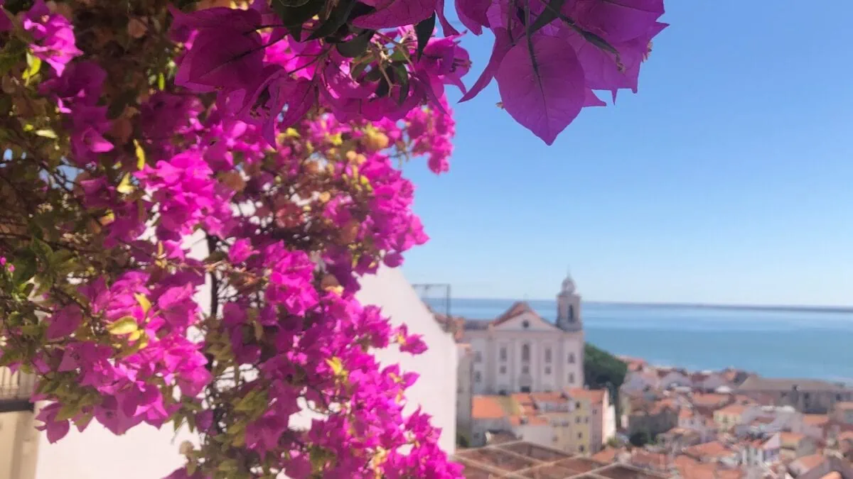 Blumenpracht in Lissabon // HIMBEER