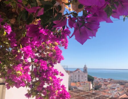 Blumenpracht in Lissabon // HIMBEER