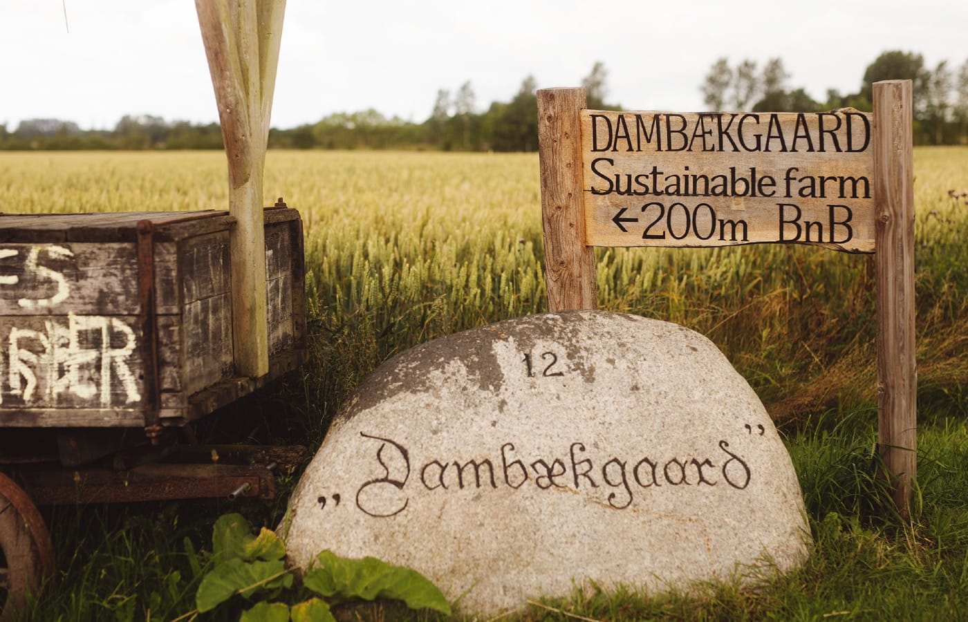 Dänemark mit Kindern: Der Bio-Bauernhof Dambaekgaard im dänischen Seeland // HIMBEER
