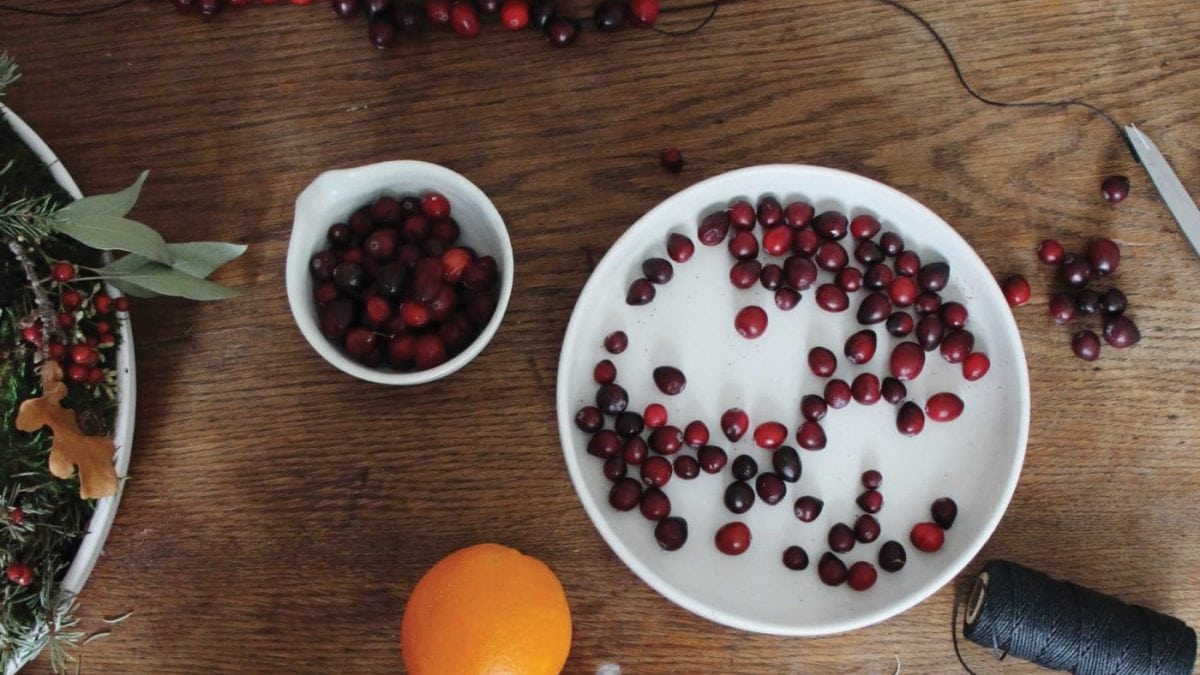 DIY – Basteln mit Kindern: Cranberry-Kette als schnelle und hübsche Weihnachtsdeko // HIMBEER
