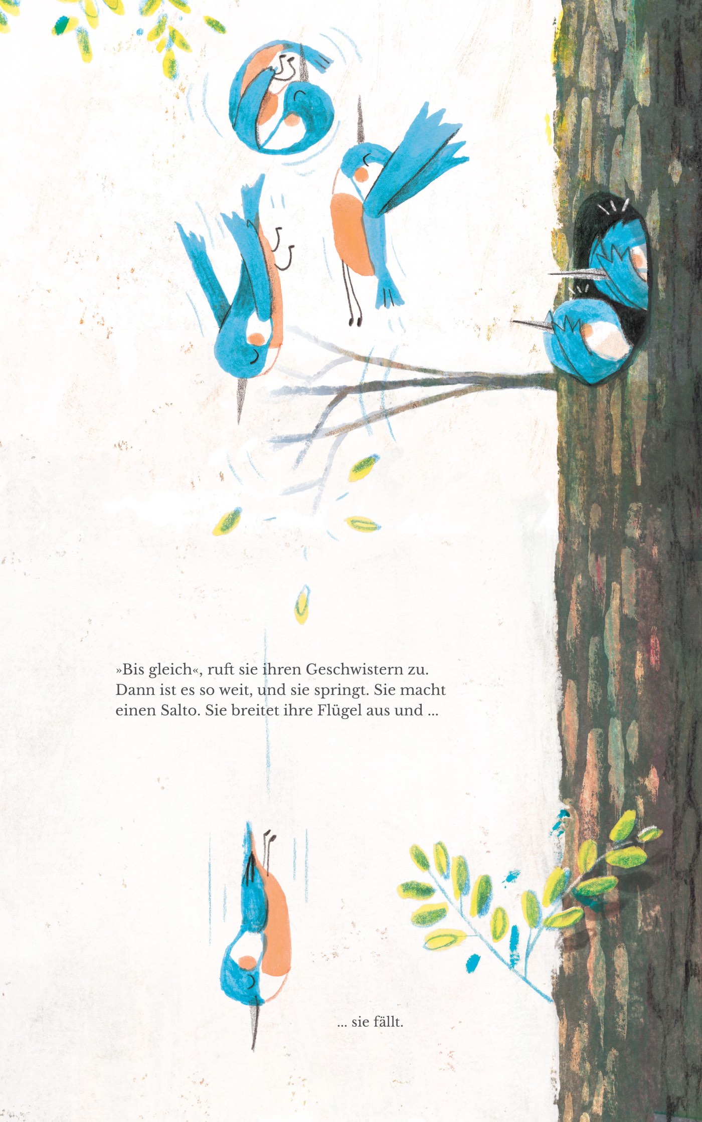 Kinderbuch-Tipps: Pips fliegt – tolles Mutmachbuch für kleine Kinder // HIMBEER
