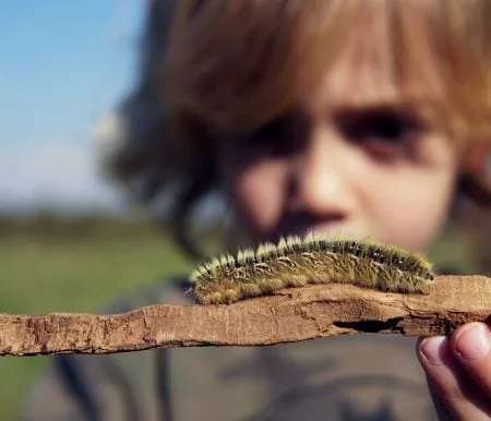 Osterferiencamps in der Natur für Kinder und Jugendliche // HIMBEER