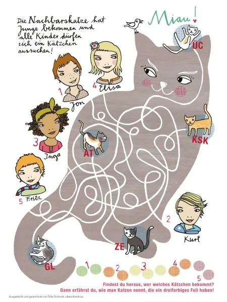 HIMBEERCHEN Kinderrätsel: Miau! Die Nachbarskatze hat Nachwuchs bekommen – nun sind kleine Kätzchen abzugeben // HIMBEER