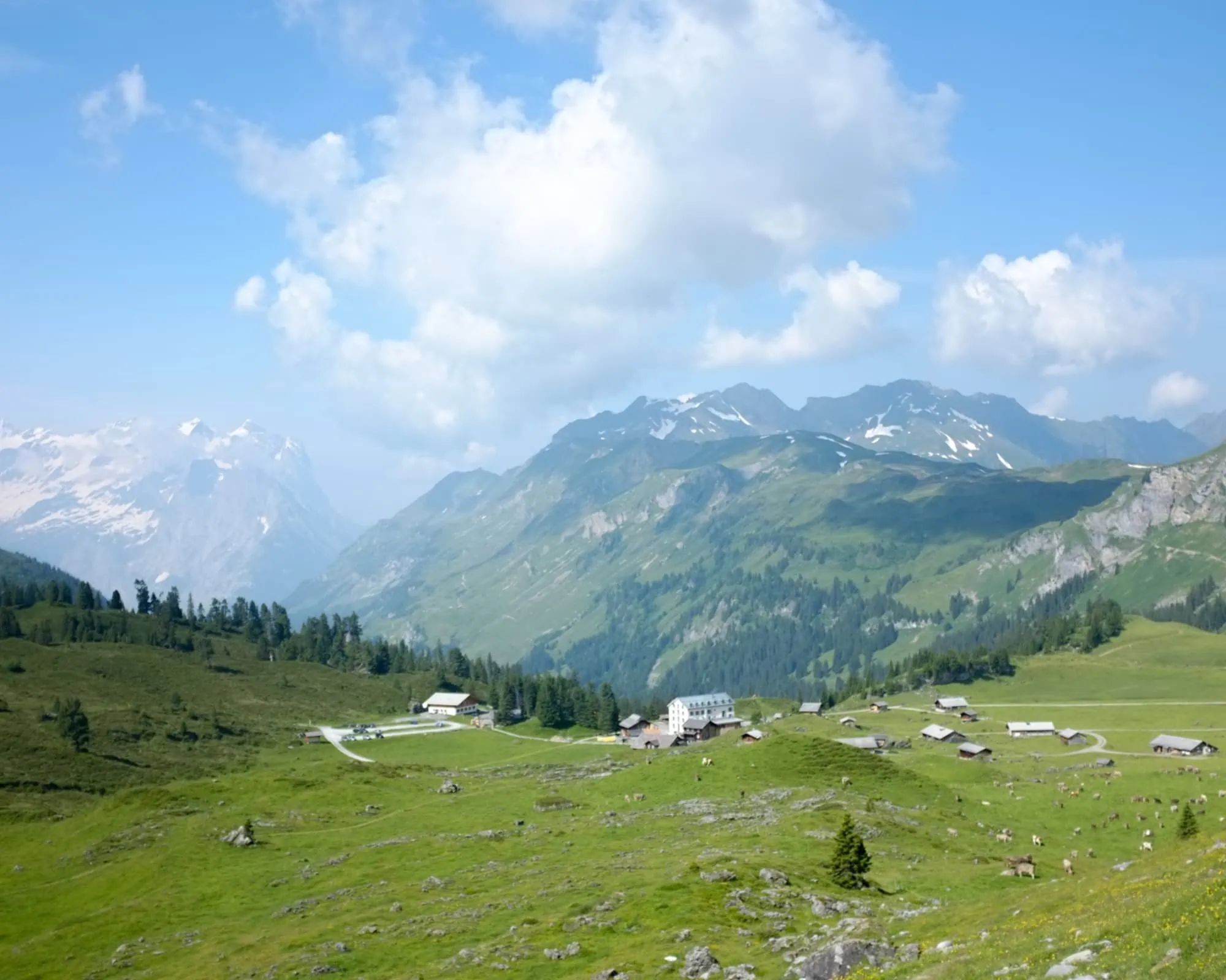 Auszeit auf der Alp mit Kindern – Engstenalp in der Schweiz, Berner Oberland – Bergpanorama // HIMBEER
