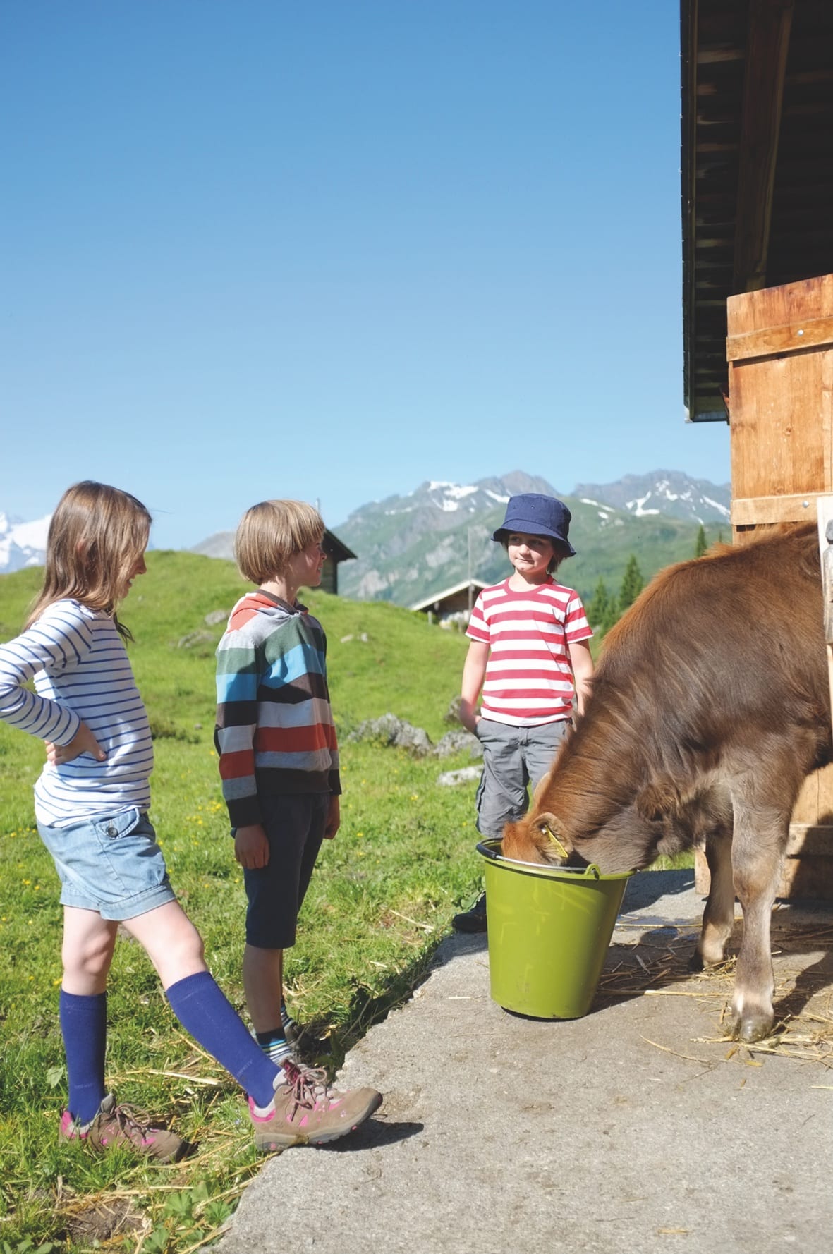 Auszeit auf der Alp mit Kindern – Engstenalp in der Schweiz, Berner Oberland – Tiere füttern // HIMBEER