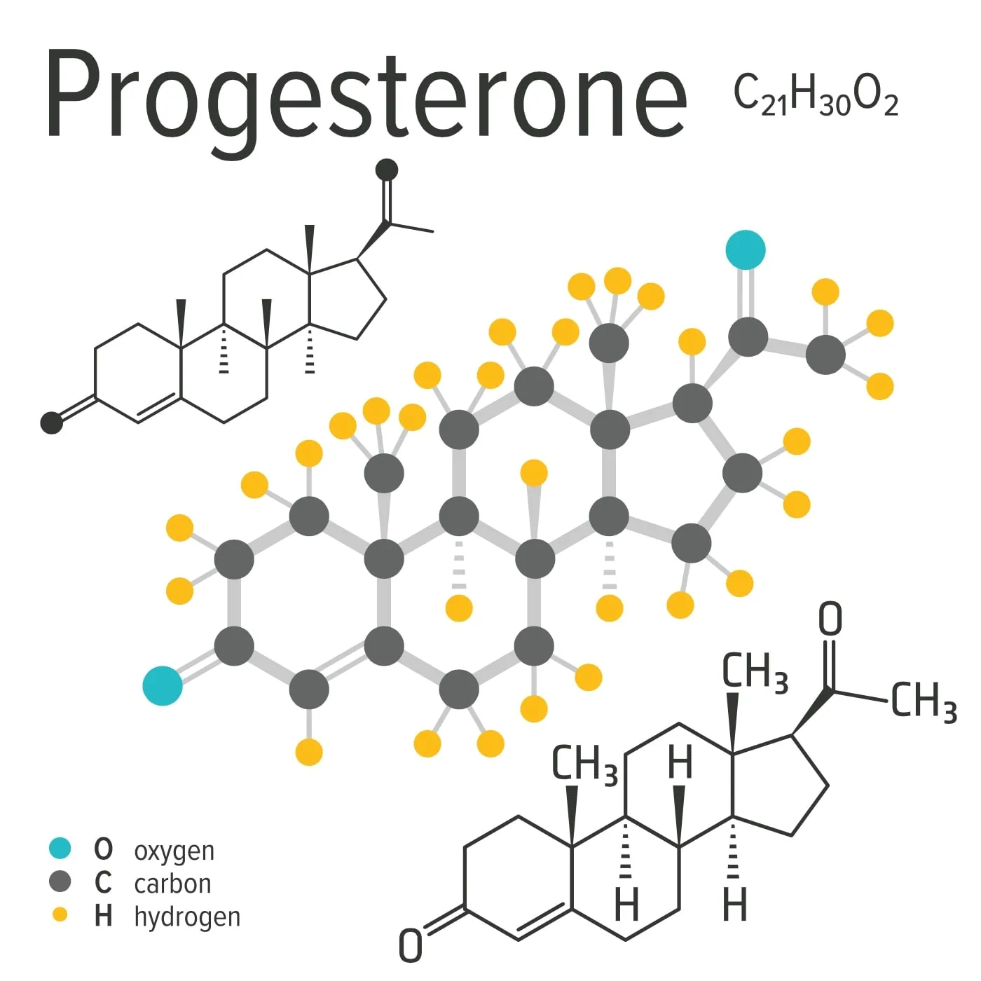 Hormone in der Schwangerschaft – ein Überblick: hCG, Progesteron, Östrogen, Oxytocin & Co // HIMBEER