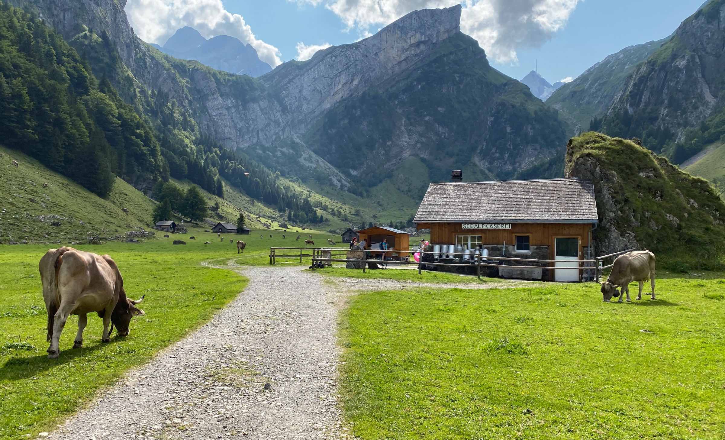 Einen Sommer auf der Alp // HIMBEER