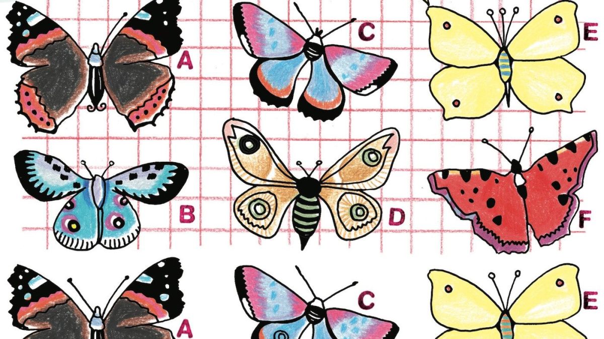 Kinderrätsel „Ein Schmetterling kommt selten allein“ von Silke Schmidt // HIMBEER
