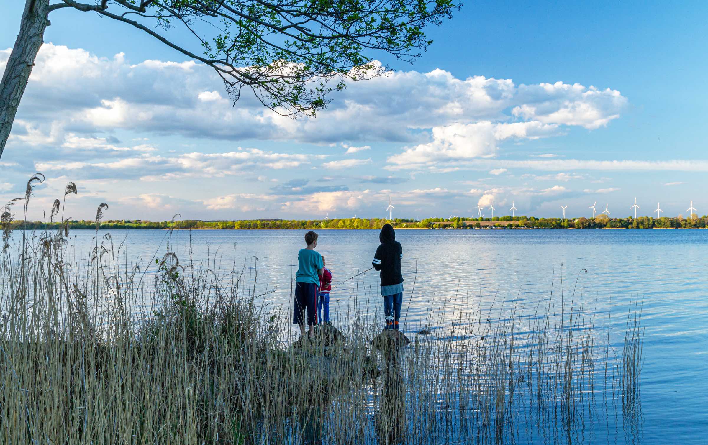 Nachhaltig leben: Der Natur- und Familiencampingplatz Pehlitzwerder liegt mitten im Biosphärenreservat Schorfheide-Chorin // HIMBEER