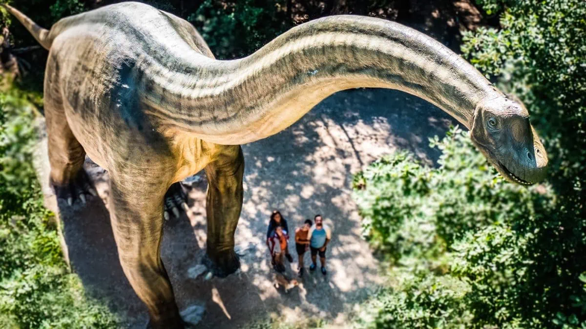 Dinosaurier Museum Altmühltal // HIMBEER