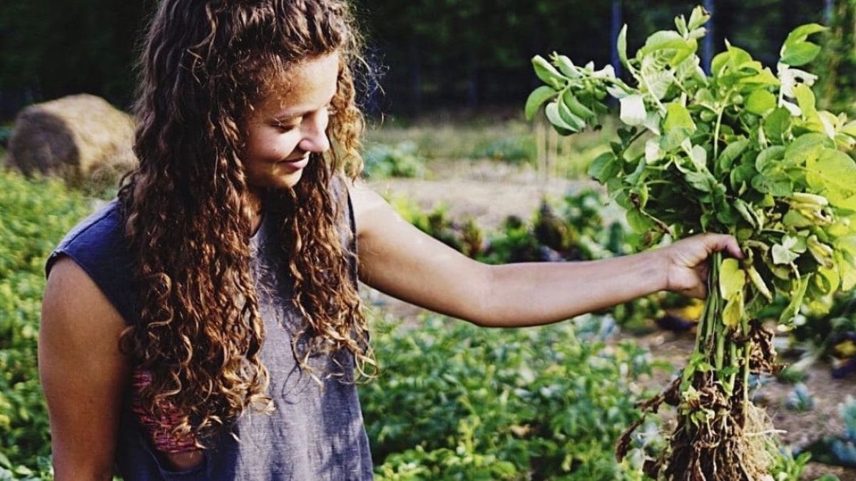 Nachhaltig leben; Gemüse selbst anbauen und mit Hilfe der Fryd App hegen und pflegen // HIMBEER