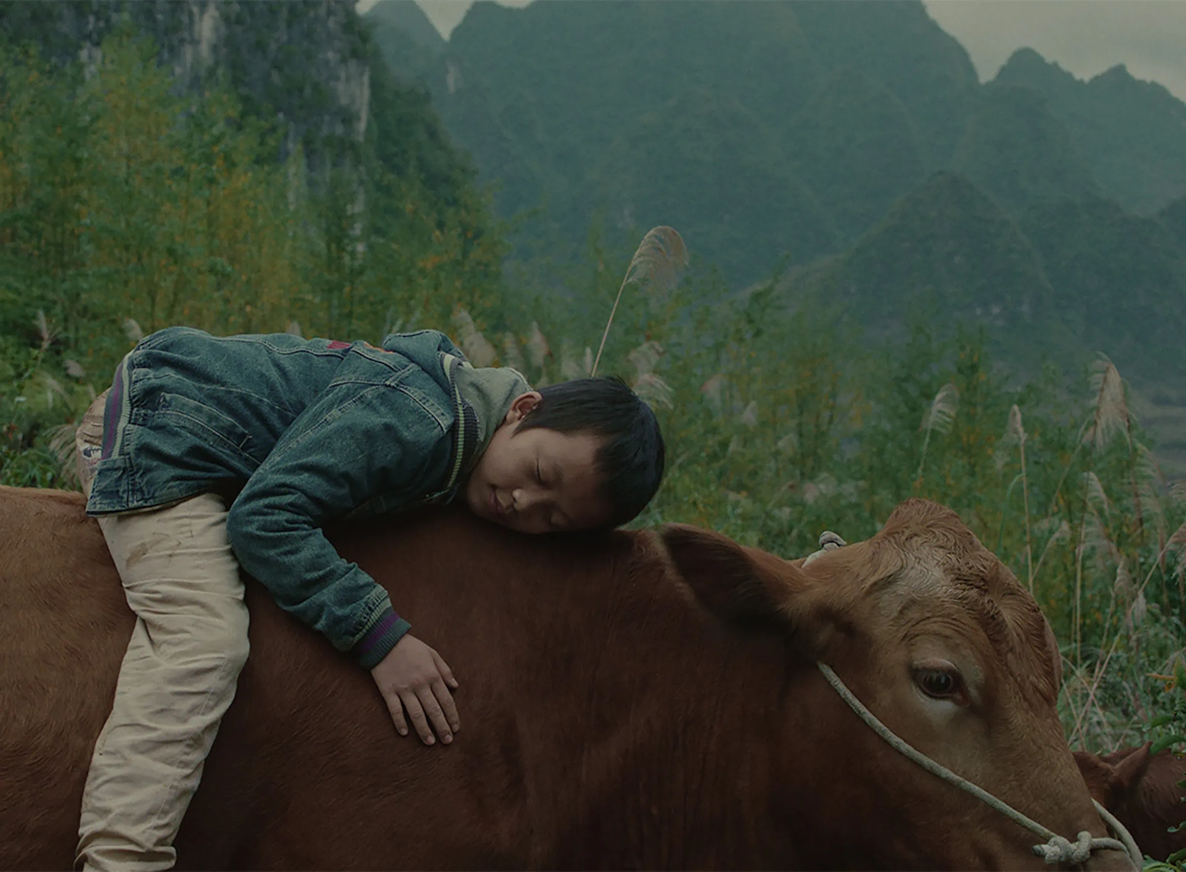 Xiaohui und seine Kühe beim Kinderfilmfest München 2023 für Kinder // HIMBEER