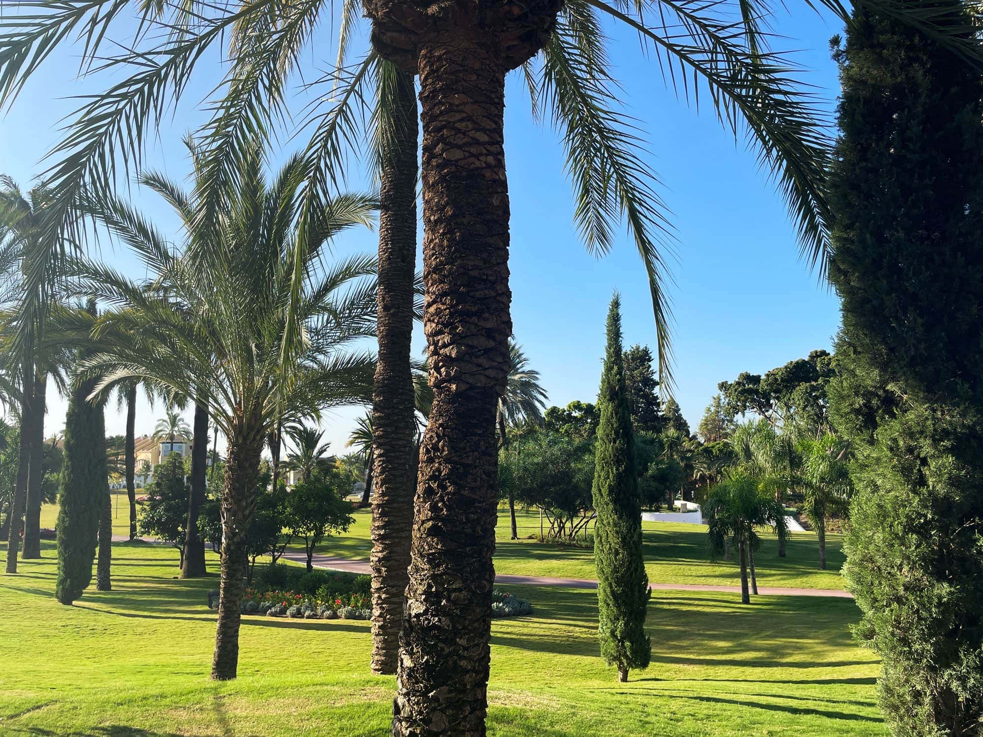 Garten im Club Med Magna Marbella // HIMBEER