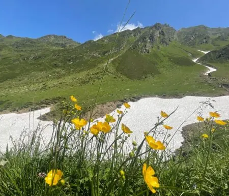 Bergurlaub in Südtirol: Family Resort & Spa Hotel Schneeberg // HIMBEER