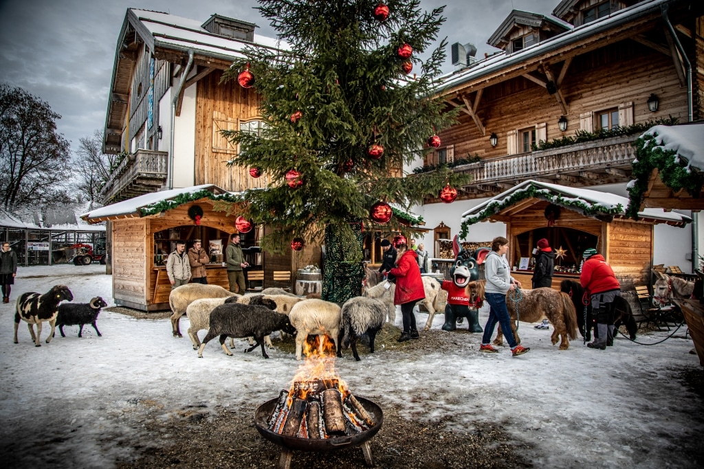 Adventmarkt Gut Aiderbichl Iffeldorf // HIMBEER