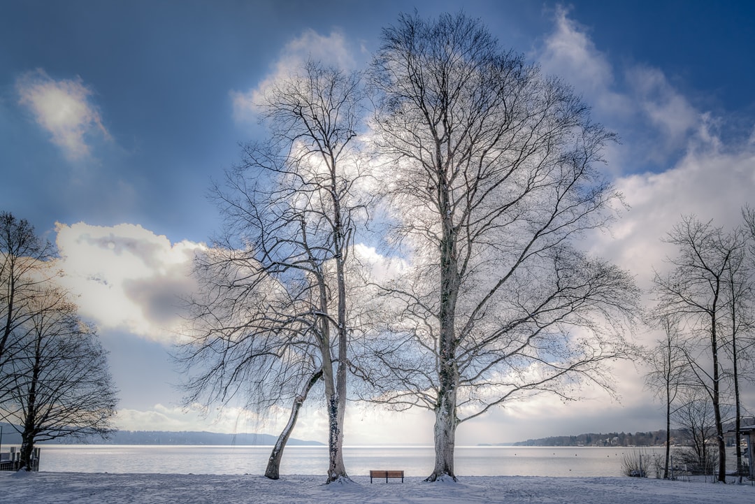 Starnberger See // HIMBEER