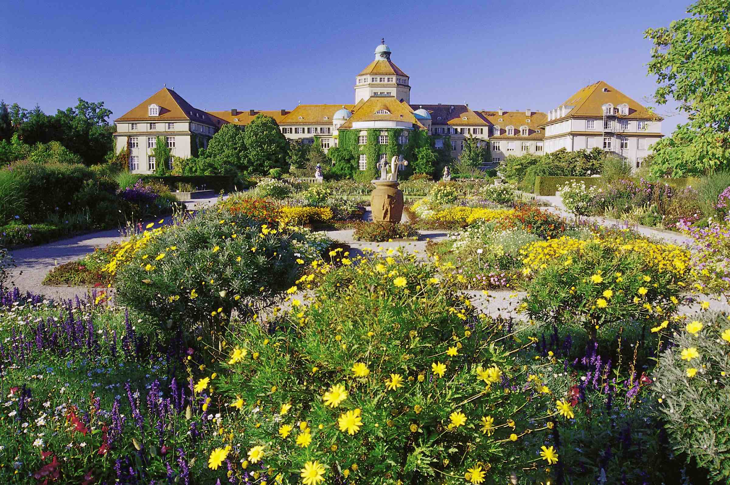 Botanischer Garten München // HIMBEER