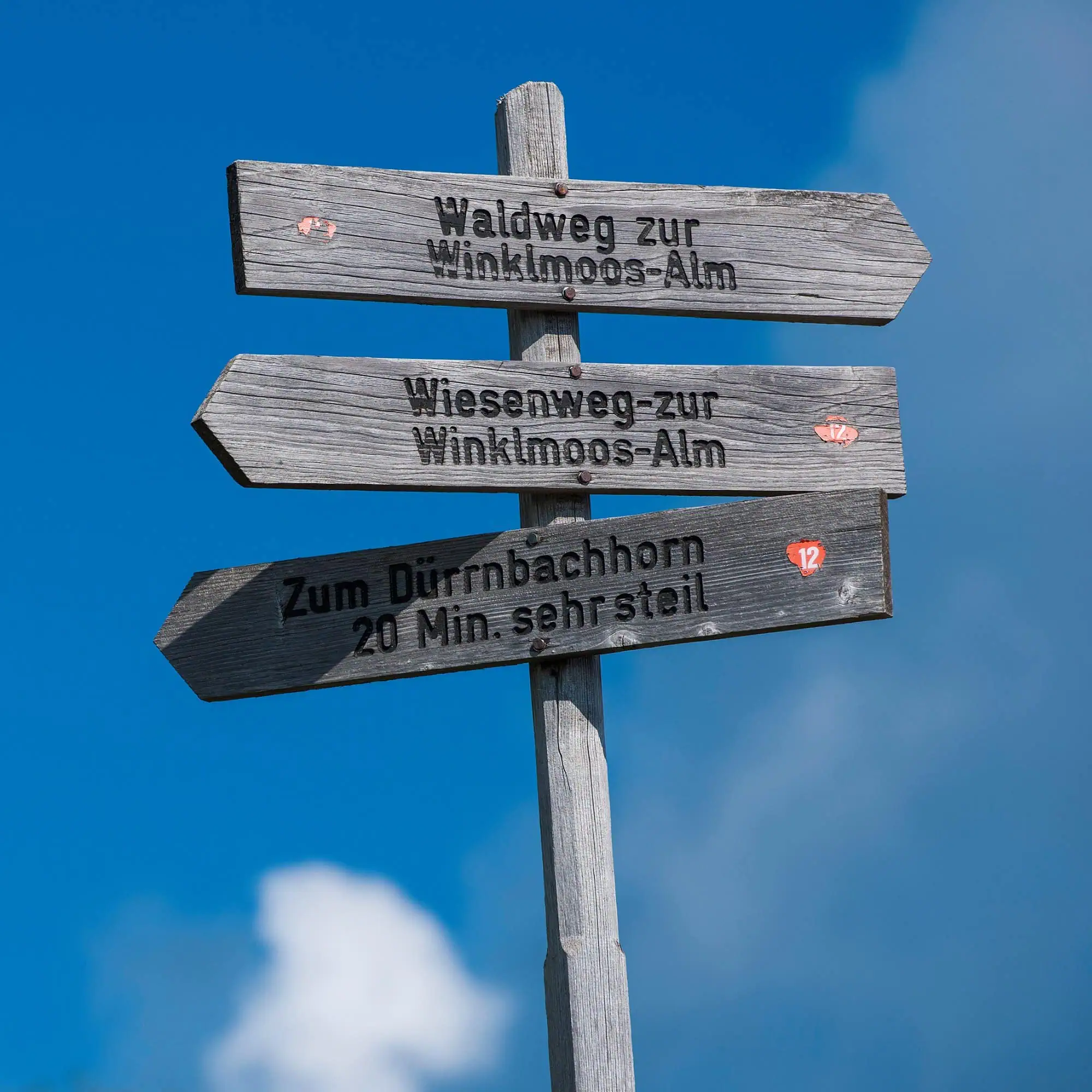 Wanderwege zur Winklmoos-Alm in den Alpen – schönes Familienausflugsziel // HIMBEER
