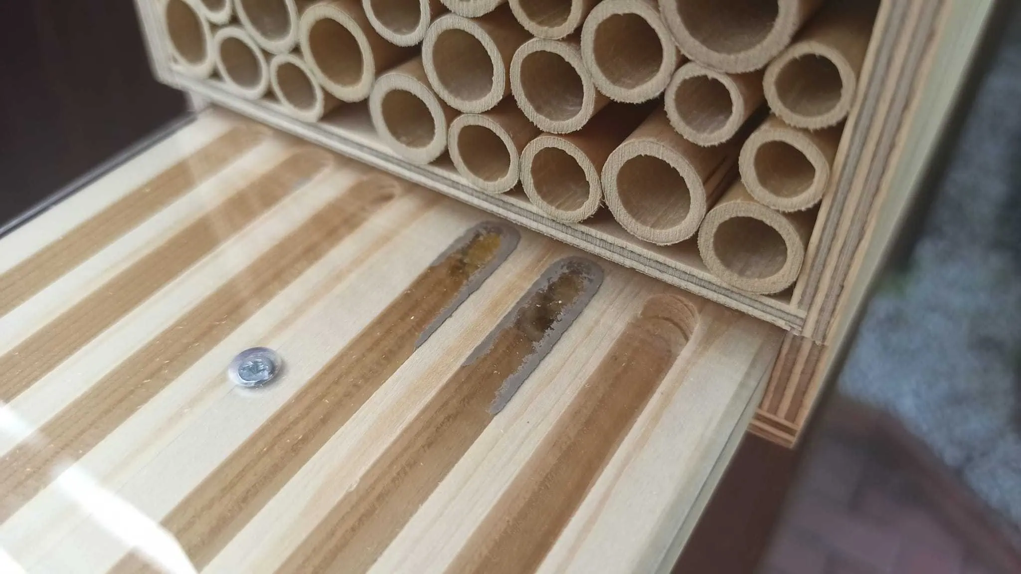 BeeHome von Pollinature im Test // HIMBEER