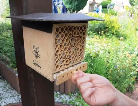 BeeHome von Pollinature im Test // HIMBEER