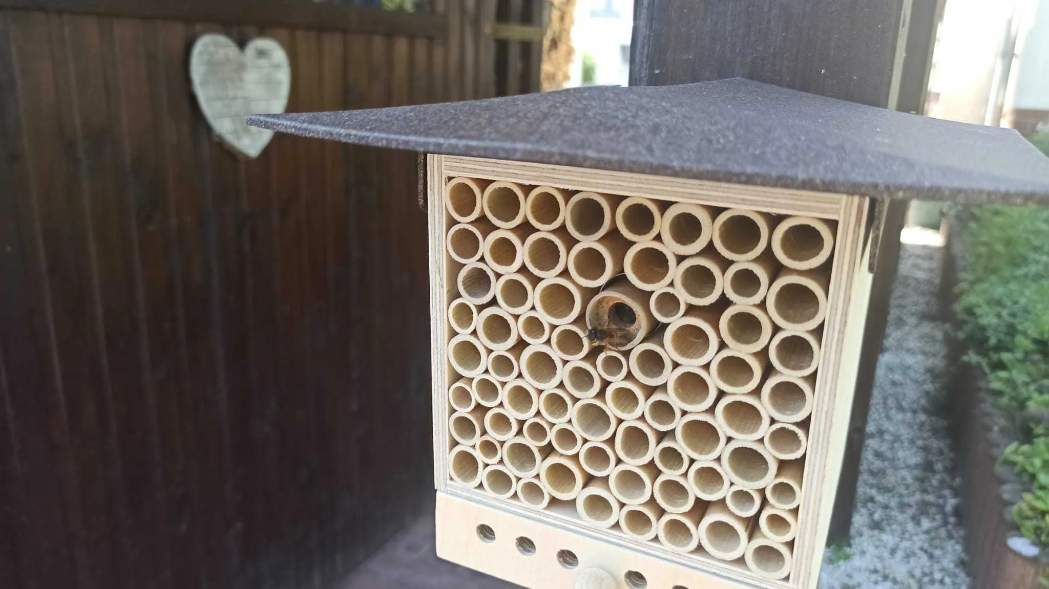 BeeHome von Pollinature im Test // HIMBEER