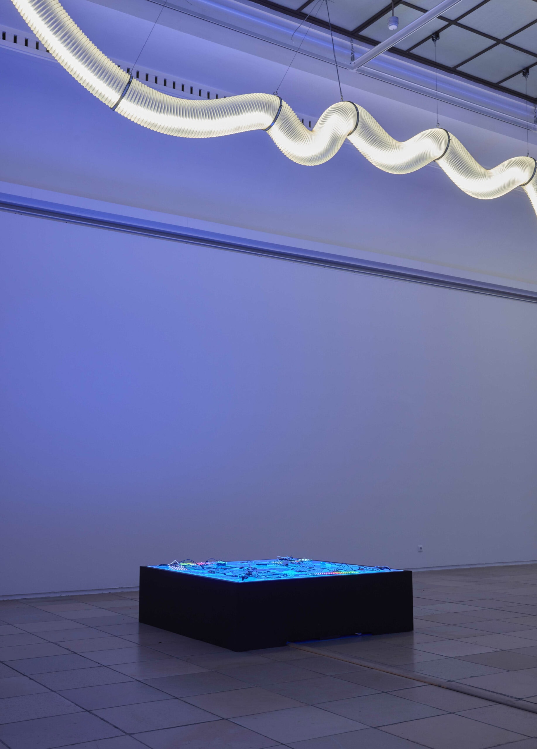 Ausstellung "Shu Lea Cheang. KI$$ KI$$",Spoken Words Installationsansicht Haus der Kunst München, 2025 // HIMBEER