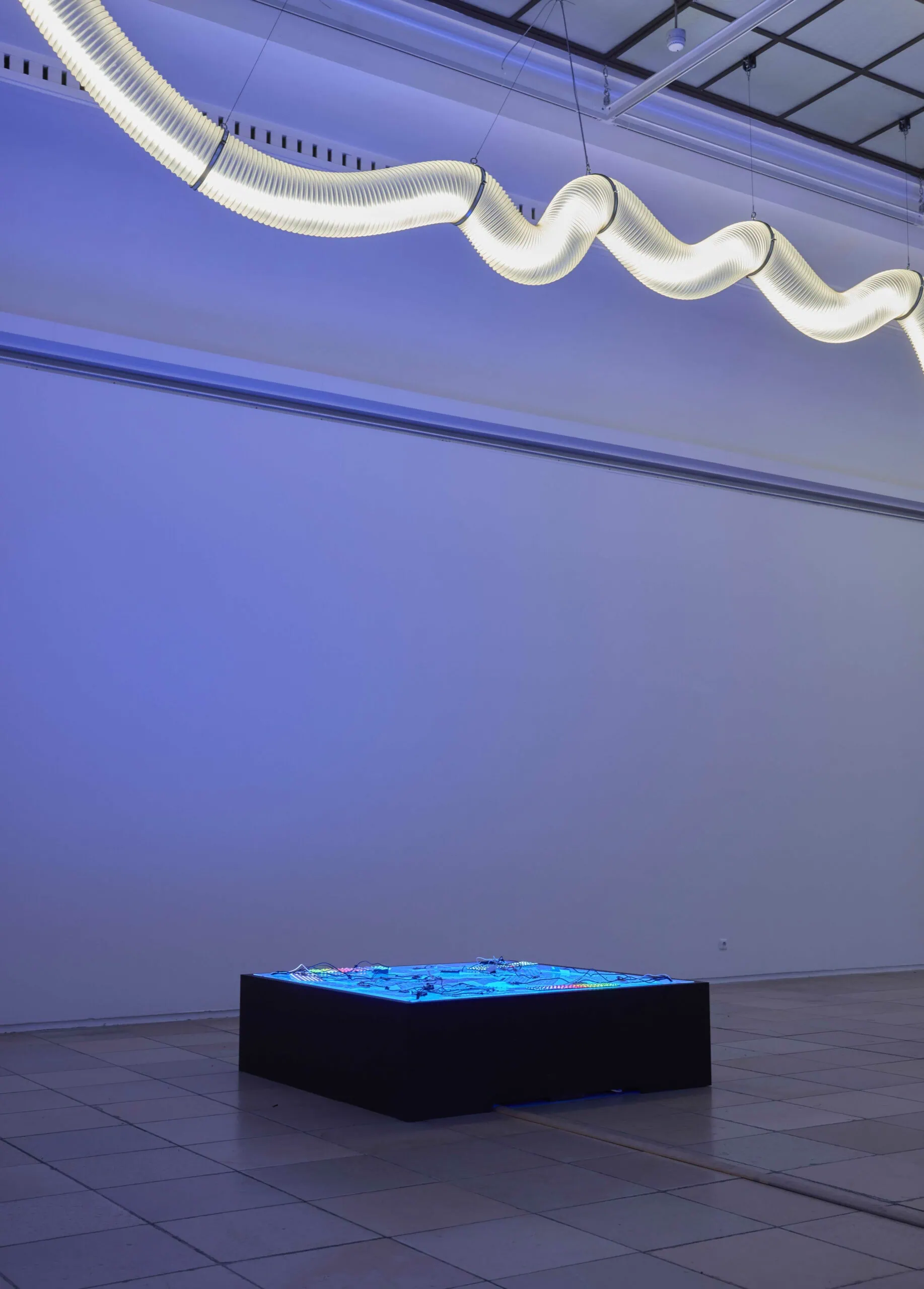 Ausstellung "Shu Lea Cheang. KI$$ KI$$",Spoken Words Installationsansicht Haus der Kunst München, 2025 // HIMBEER
