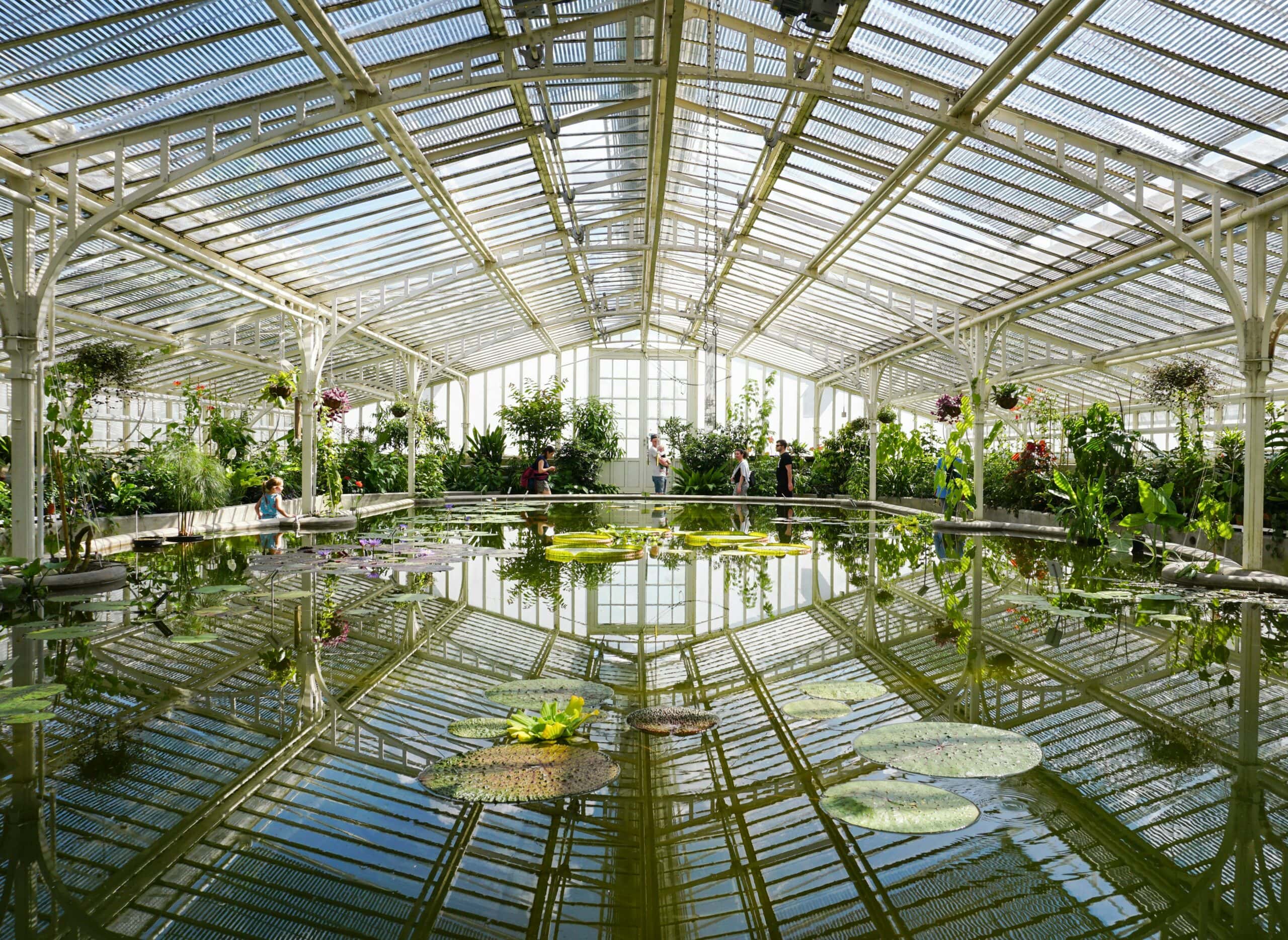 Botanischer Garten München – Tipps fürs Wochenende KW 31 // HIMBEER